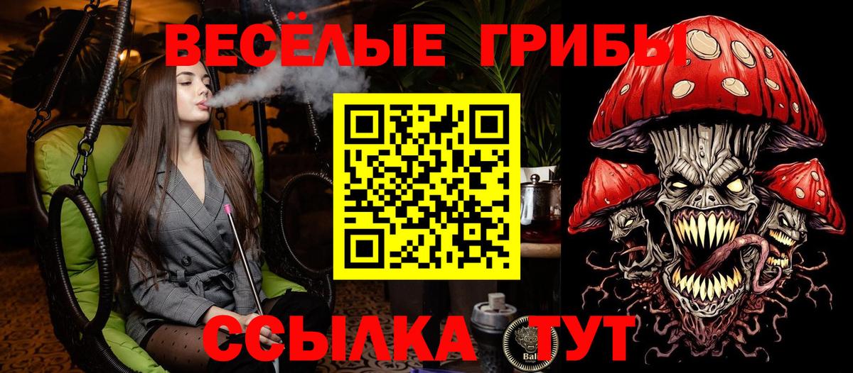 Псилоцибиновые грибы Psilocybe  Вход с VPN  Воскресенск 
